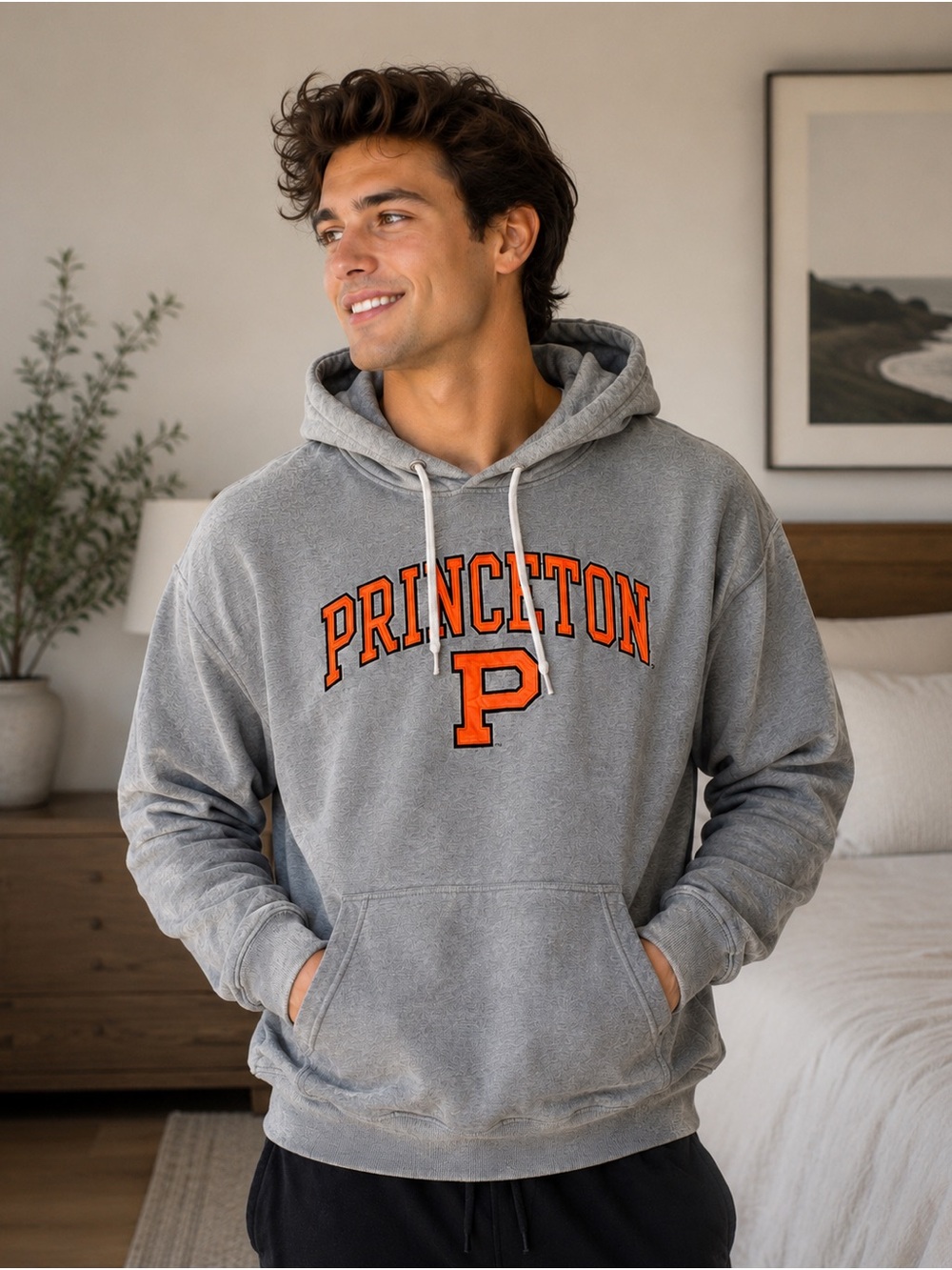 Princeton University Gray Hoodie Sweatshirt Large Vintage Collegiate